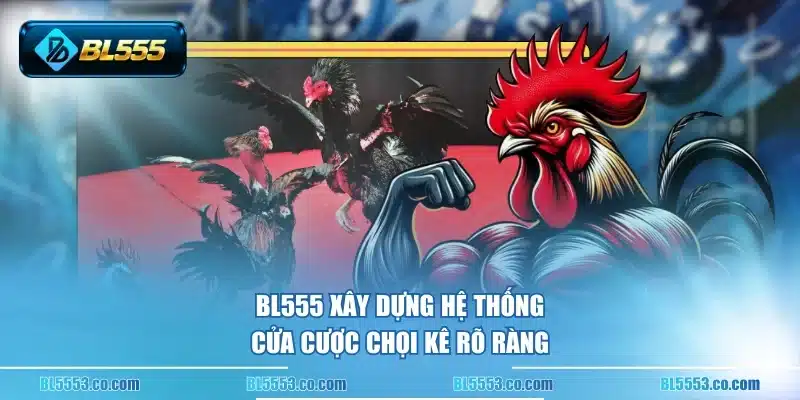 BL555 xây dựng hệ thống cửa cược chọi kê rõ ràng